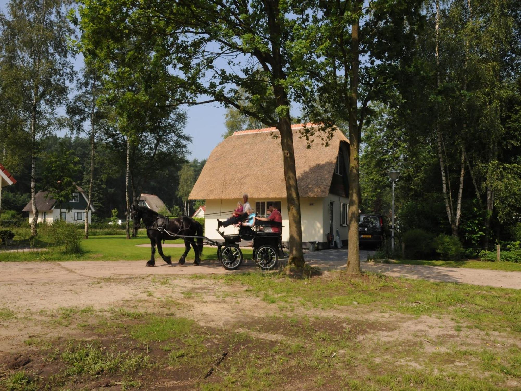 Beautiful Holiday Home In Heeten With Private Garden Exterior photo